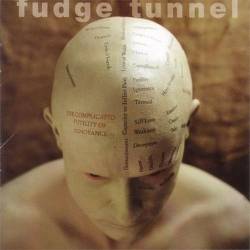 Fudge Tunnel : The Complicated Futility of Ignorance